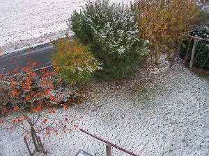 Der Garten im November 2006