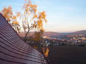 Der Garten im November 2006