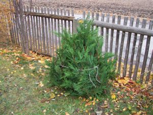 Der Garten im November 2006