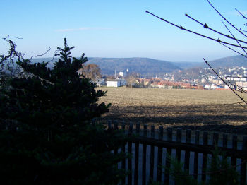 Der Garten im Dezember 2006