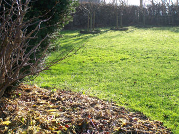 Der Garten im Dezember 2006