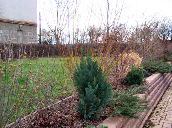 Der Garten im Januar 2007