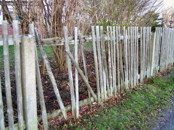 Der Garten im Januar 2007