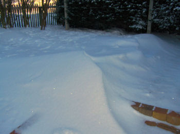 Der Garten im Januar 2007