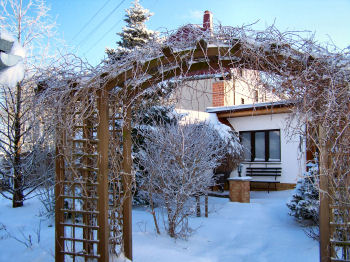 Der Garten im Januar 2007