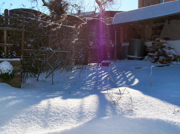 Der Garten im Januar 2007