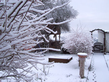 Der Garten im Februar 2007
