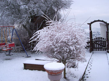 Der Garten im Februar 2007