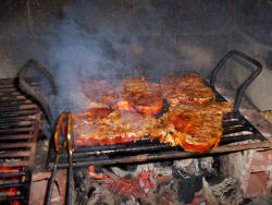 Grilltagebuch 2006 - Angrillen