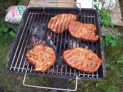 Männertagsgrillen 2006