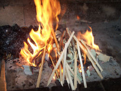 Rippchengrillen am 07.07.2006