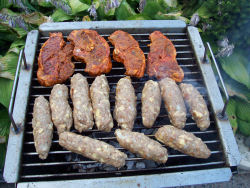 Grilltagebuch 12/2006