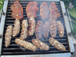 Grilltagebuch 12/2006