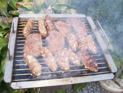 Grilltagebuch 12/2006