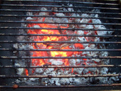 Grilltagebuch 12/2006