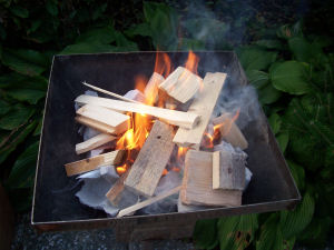 Das Irchwitzer Grilltagebuch 15/2006