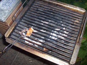 Das Irchwitzer Grilltagebuch 15/2006