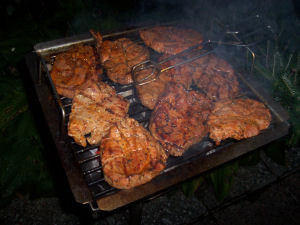 Das Irchwitzer Grilltagebuch 15/2006