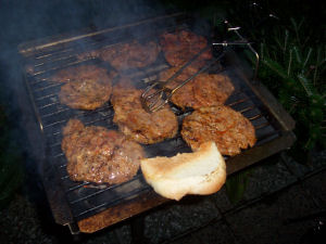 Das Irchwitzer Grilltagebuch 15/2006